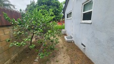 Enlarge photo 17