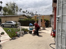 Enlarge photo 30