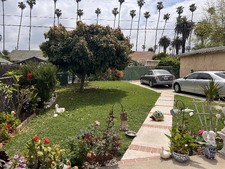 Enlarge photo 31