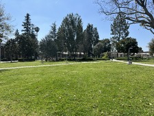 Valley College