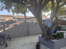 Enlarge photo 34