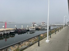 Enlarge photo 42