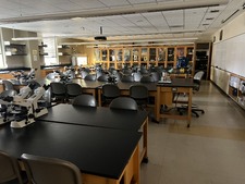Enlarge photo 23