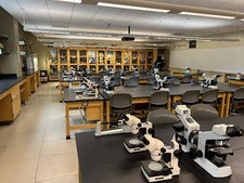Enlarge photo 24