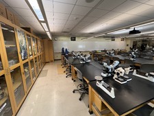 Enlarge photo 27