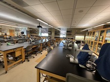 Enlarge photo 31