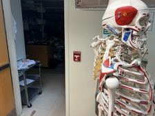 Enlarge photo 33