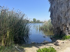 Enlarge photo 16