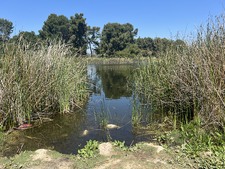 Enlarge photo 18