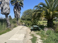 Enlarge photo 28