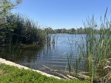Enlarge photo 29