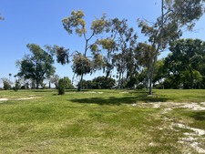 Enlarge photo 33