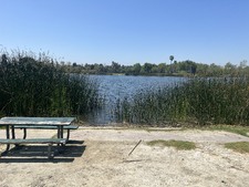 Enlarge photo 34