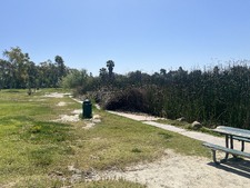 Enlarge photo 35