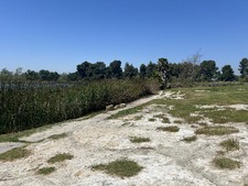 Enlarge photo 36