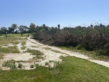Enlarge photo 37