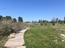 Enlarge photo 39