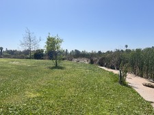 Enlarge photo 41