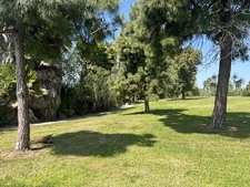 Enlarge photo 42