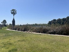 Enlarge photo 43