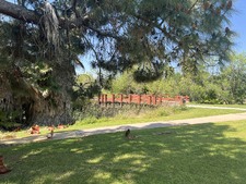Enlarge photo 44