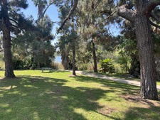 Enlarge photo 45