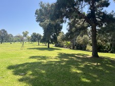 Enlarge photo 46