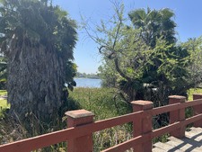 Enlarge photo 48