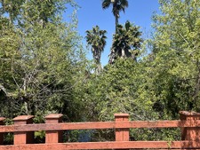 Enlarge photo 49