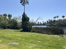 Enlarge photo 51
