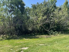 Enlarge photo 52