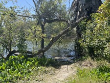 Enlarge photo 53
