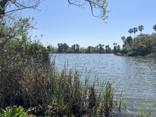 Enlarge photo 55