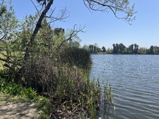 Enlarge photo 56
