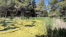 Enlarge photo 2