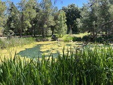 Enlarge photo 10