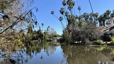 LA Arboretum