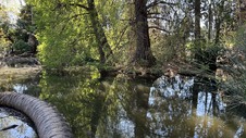 Enlarge photo 3