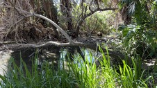 Enlarge photo 6