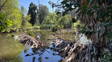 Enlarge photo 9