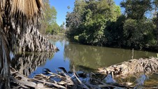Enlarge photo 11