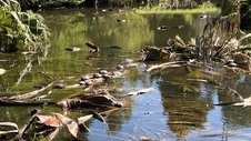 Enlarge photo 12