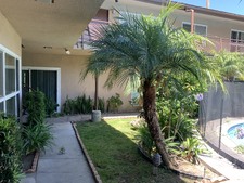 Enlarge photo 32