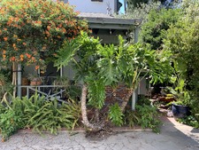 Jerry Dunn Residence