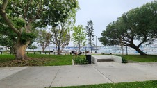 Alice Wainwright Park