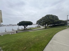 Enlarge photo 25