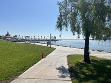 Enlarge photo 12