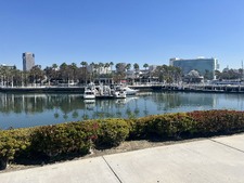 Enlarge photo 28