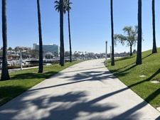 Enlarge photo 30