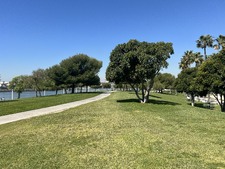 Enlarge photo 36